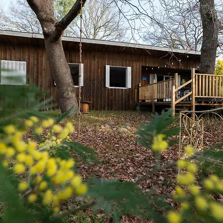 La Petite Maison Du Biscarrosse