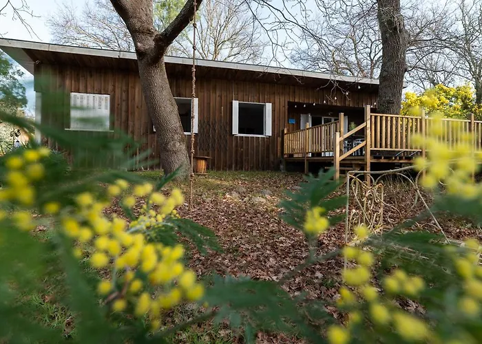 La Petite Maison Du Biscarrosse